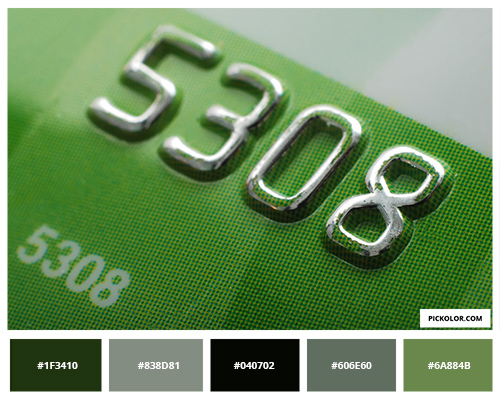 Green credit card