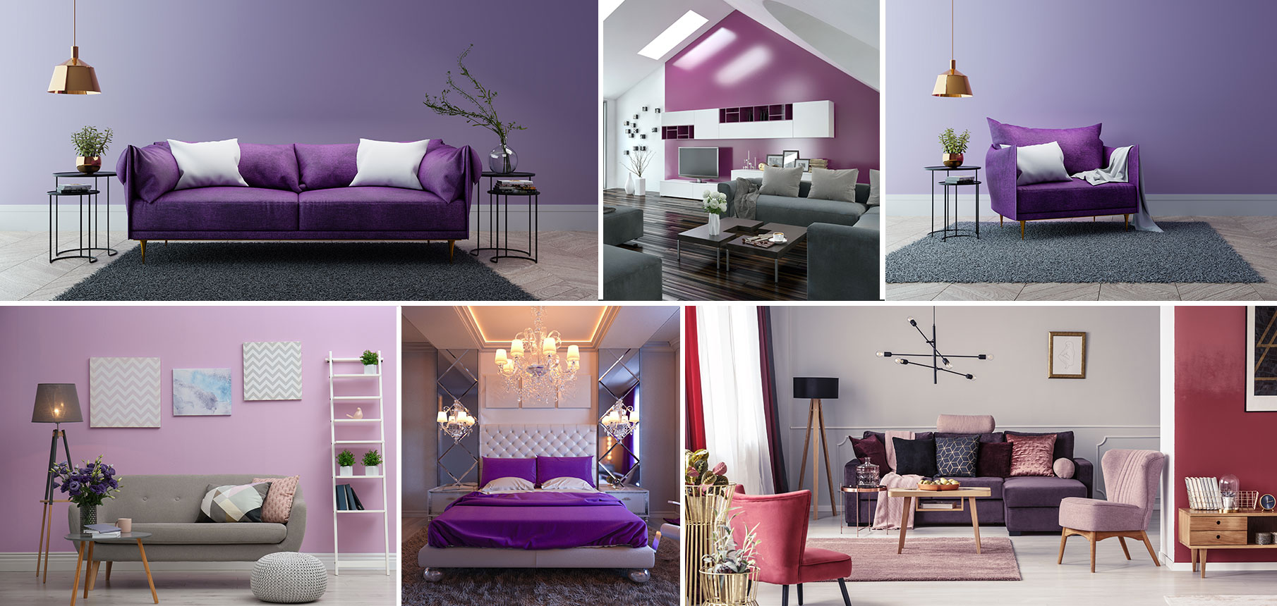Purple color decor
