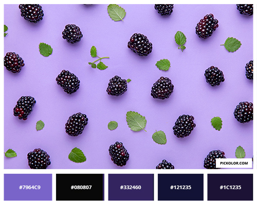 Purple berry