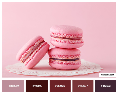 Sweet pink macaroon